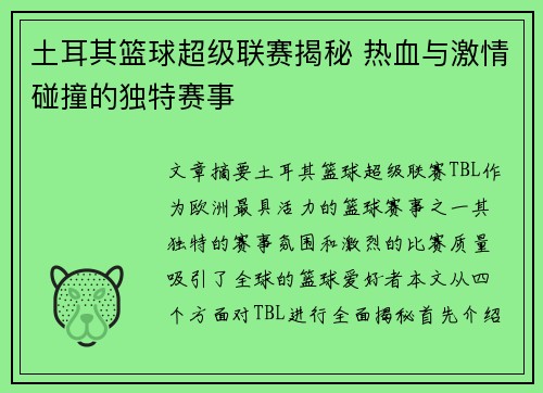 土耳其篮球超级联赛揭秘 热血与激情碰撞的独特赛事
